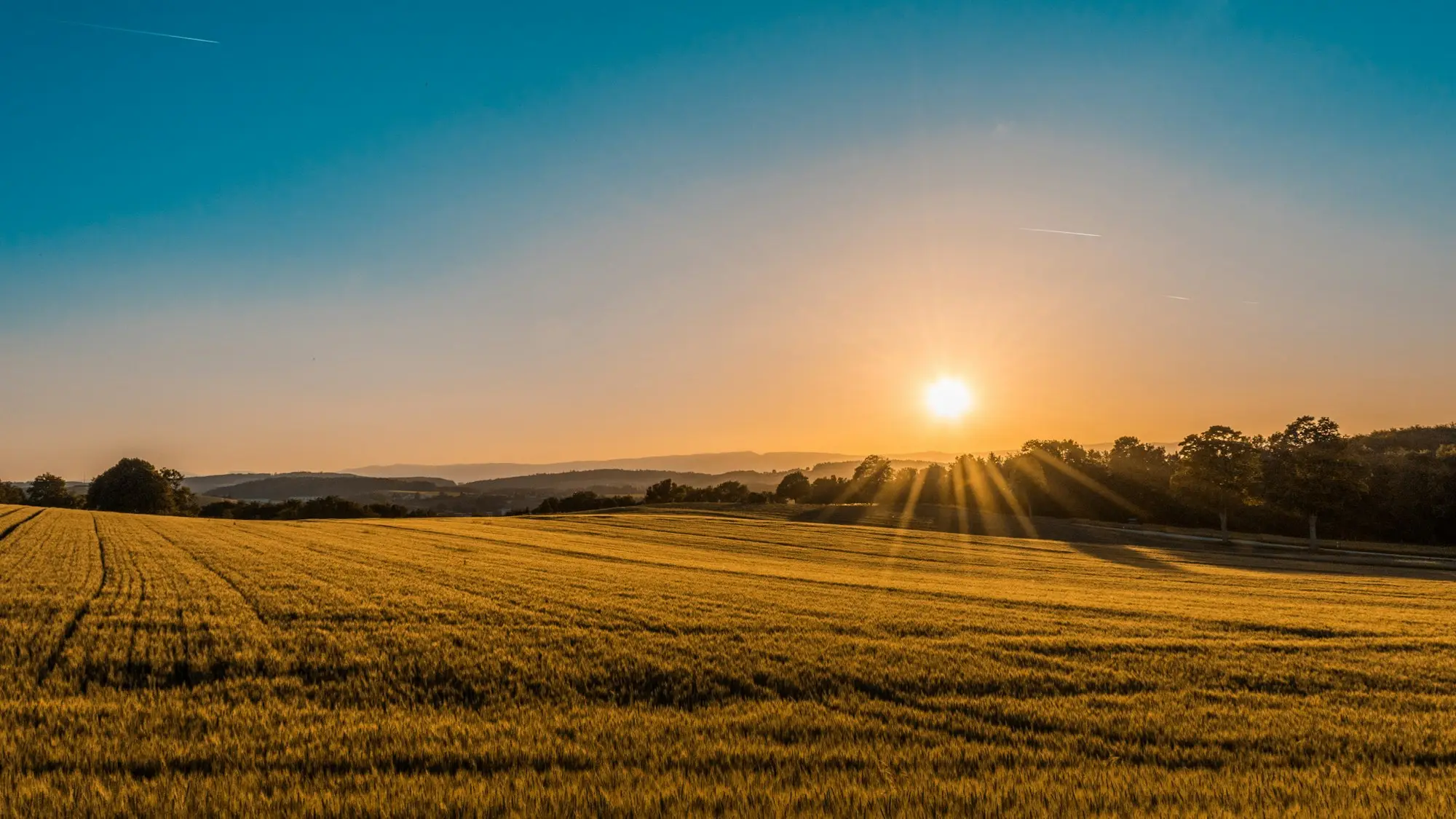 Golden-hour sun over an open Colorado field