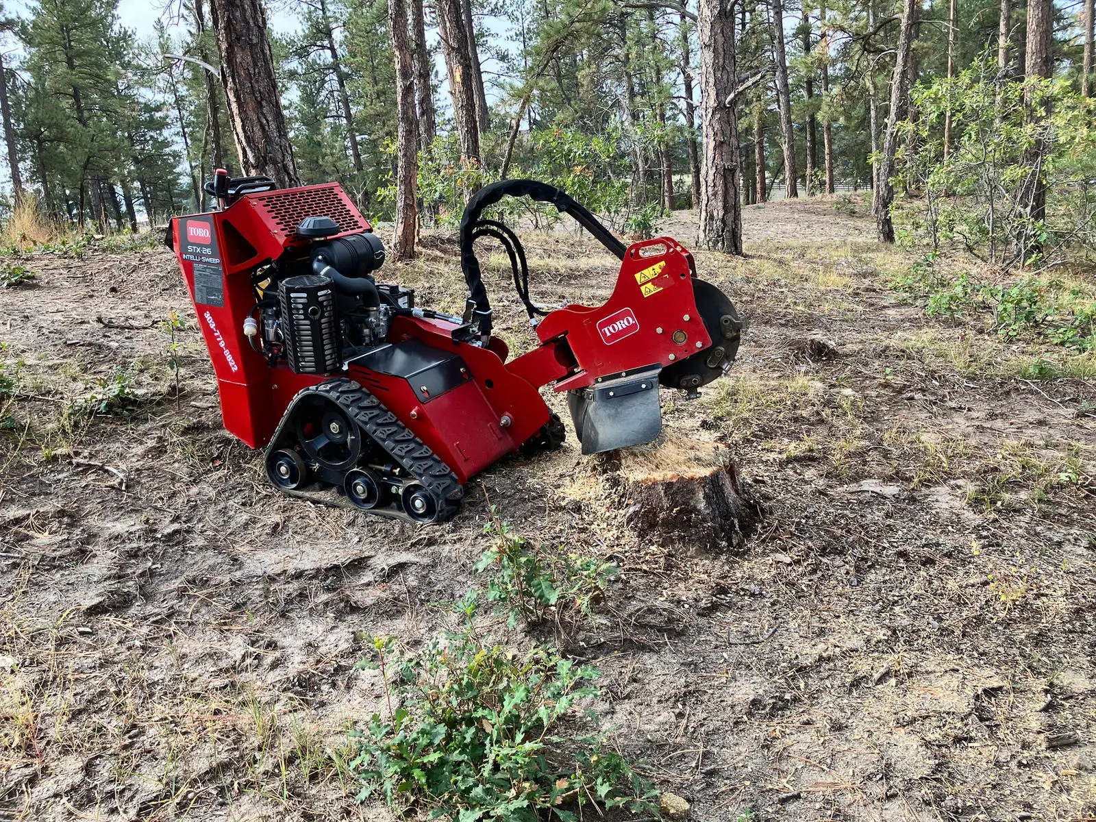 Stump grinder at work